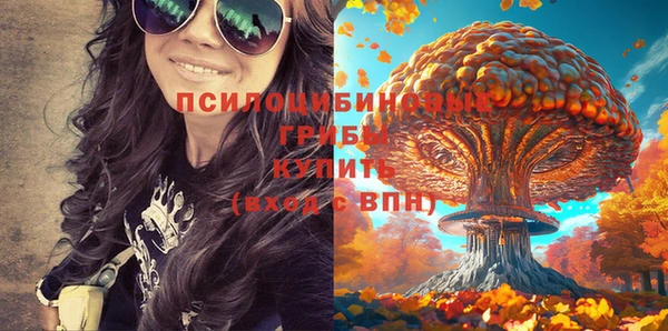 метадон Абаза