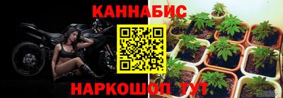 прущие крисы Жуковский