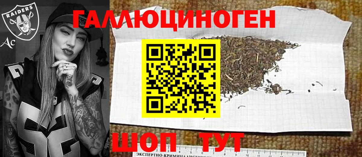 Псилоцибиновые грибы Psilocybe  Вход с VPN  Норильск 