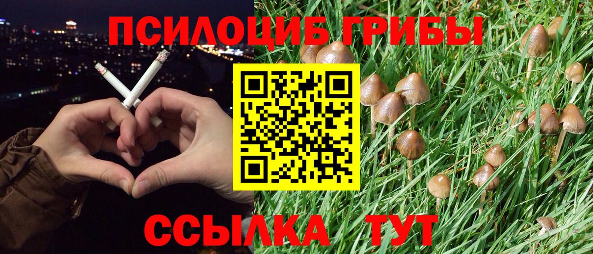Галлюциногенные грибы GOLDEN TEACHER Норильск
